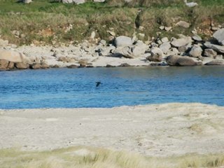 Gigue irlandaise à Kerema