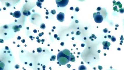 Les molécules d'eau