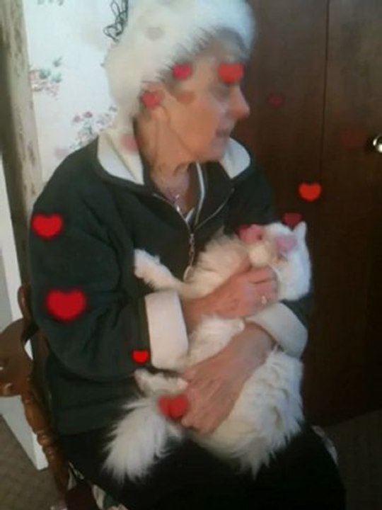 Helen and Daisy Reunited