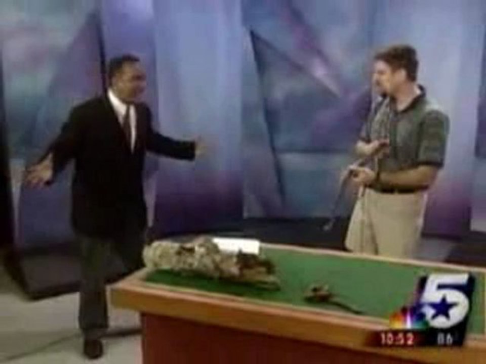 Hagedis bespringt presentator