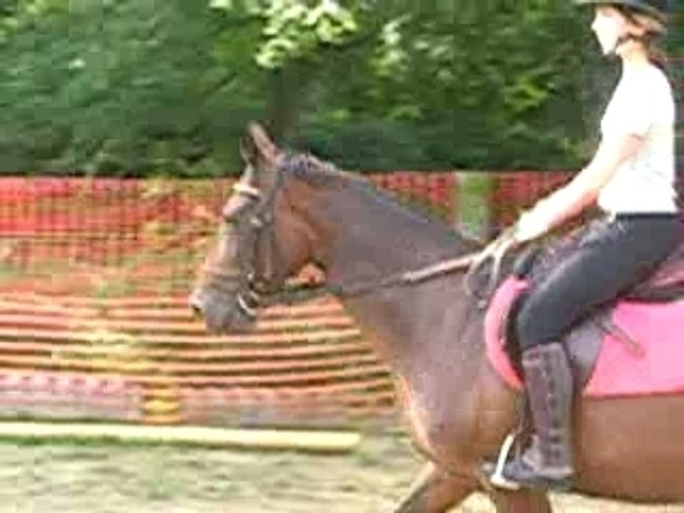 Ma flOw au trot