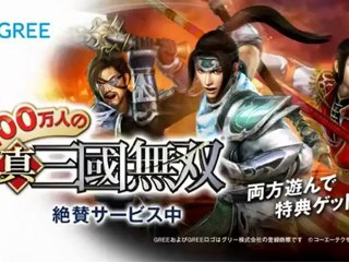 Dynasty Warriors Next – PS Vita [Download .torrent]