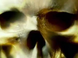 El llanero solitario - Trailer en español HD