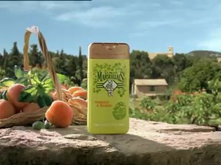 Gel douche cueillettes fruitées - Abricot & basilic - Le Petit Marseillais