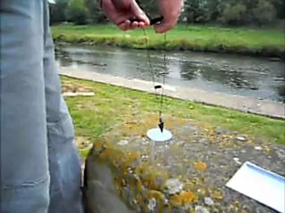 Détecteur de Polarité et de point Yin Yang .