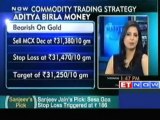 Bearish on gold, bullish on copper : Aditya Birla Money
