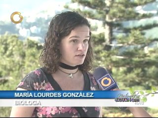 Naturaleza al Día: Conozca a las Guacamayas, loros y pericos de Caracas