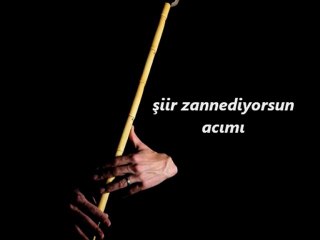 İrfan ÖZCAN - ŞİİR ZANNEDİYORSUN ACIMI