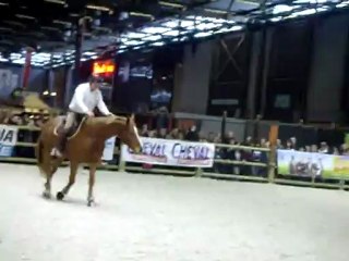 cordelette andy Booth