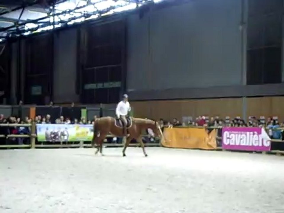 Andy Booth désensibilisation à cheval