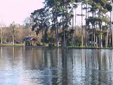 L'immigration prédatrice en France, sur fond de tromperies...