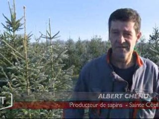 Portrait d’Albert Chenu, producteur de sapins (Sainte Cécile)