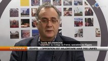 Entretien avec Tewfik Aclimandos, Chercheur au Collège de France, spécialiste de l'Egypte