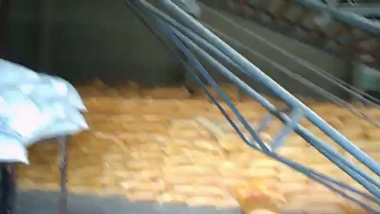 Soya Meal De Oiled Cake (DOC) loading