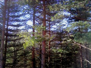 EDEP!!!  EDEP !!! EDEP !!!