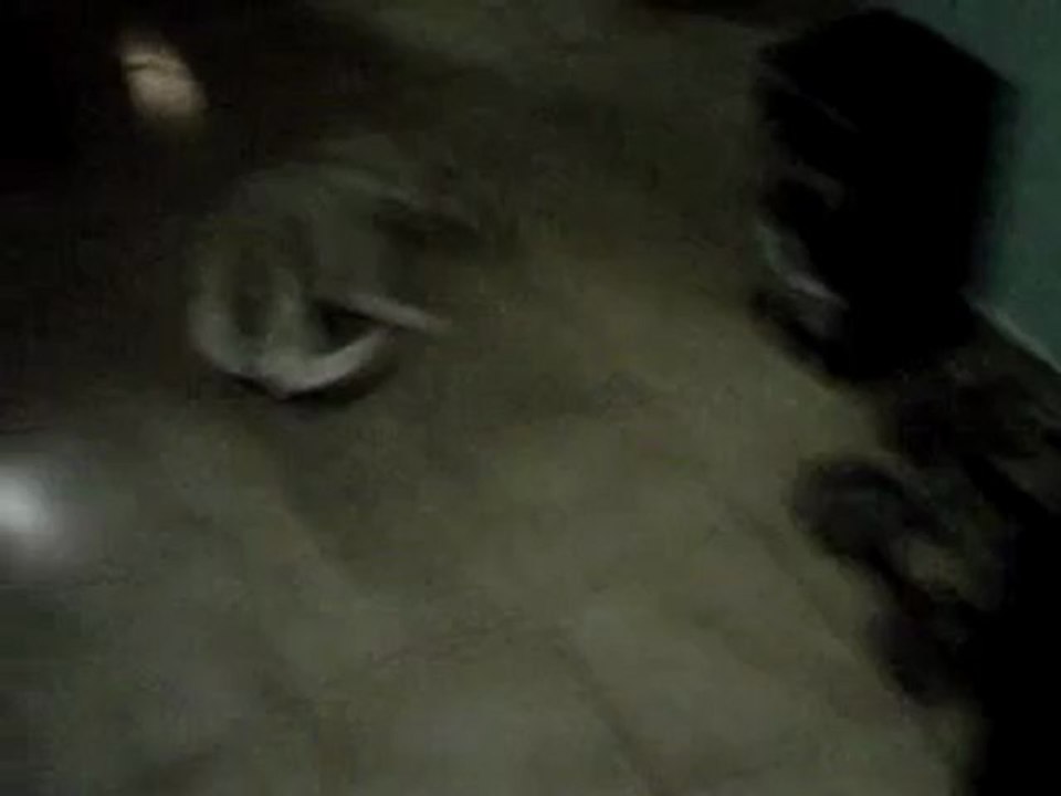 VID 00006-20121202-2047[1]DOG SPINNING AROUND IN CIRCLES AND HIS HEAD HIT ON THE WALL- BLOCK AND KEEPS ON SPINNING!