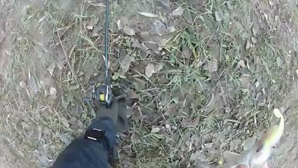 Test Drift HD Ghost pêche sandre