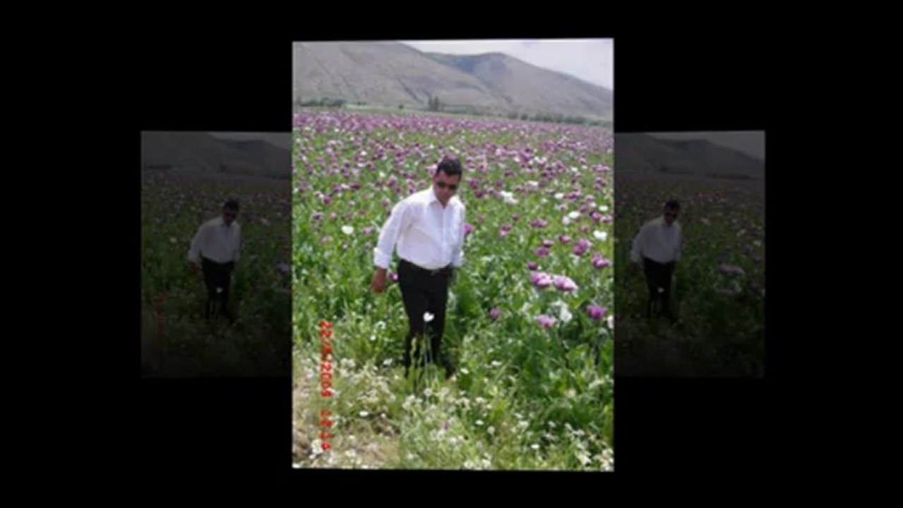 yarim gitti bende bitti  özel yorum cesuroğlu şiirleri