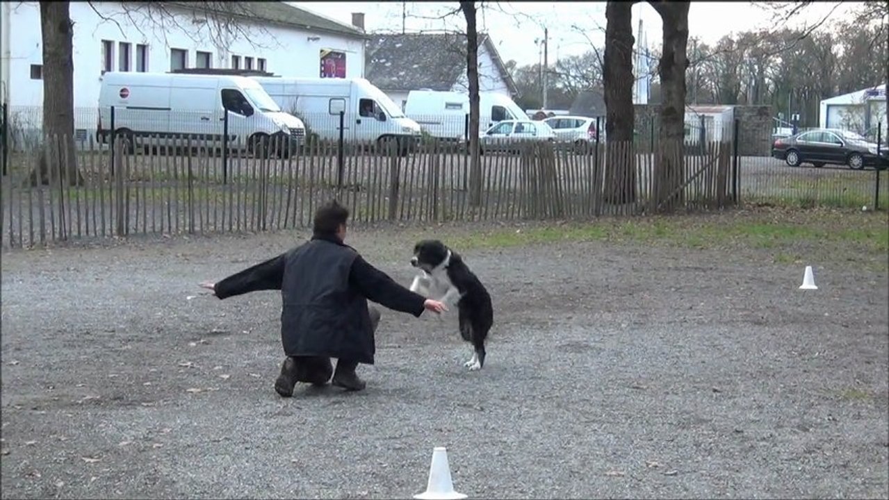 Téléthon, démonstration obérythmée