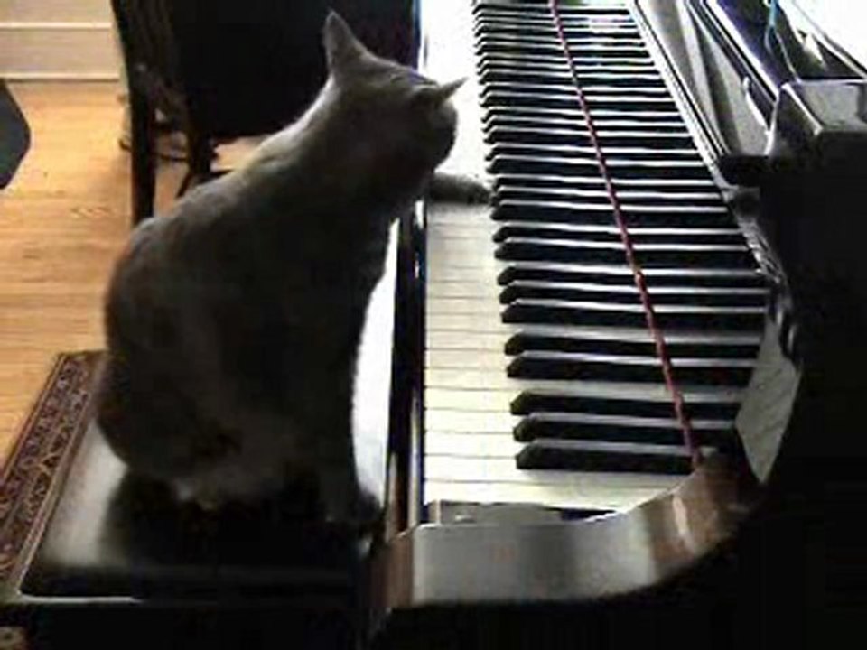 LA_PIANISTE__11