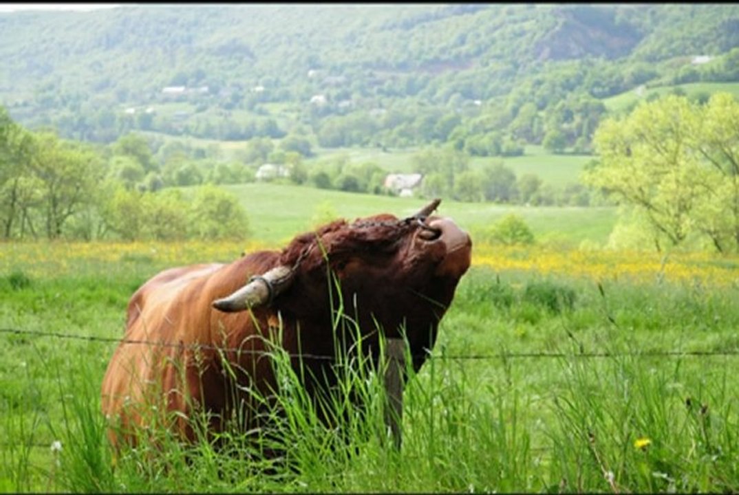Le Cantal en 2012