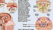 Migraine Headache Treatments, Symptoms
