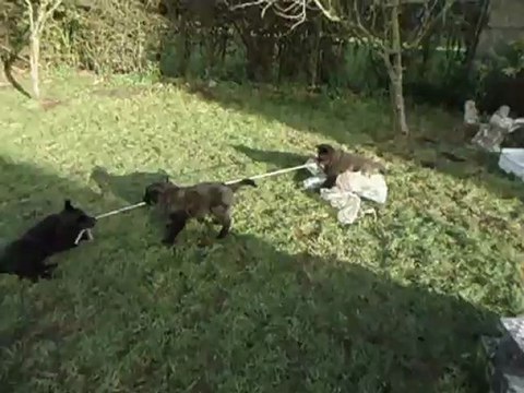 qu'est ce que c'est amusant ces bouteilles!!