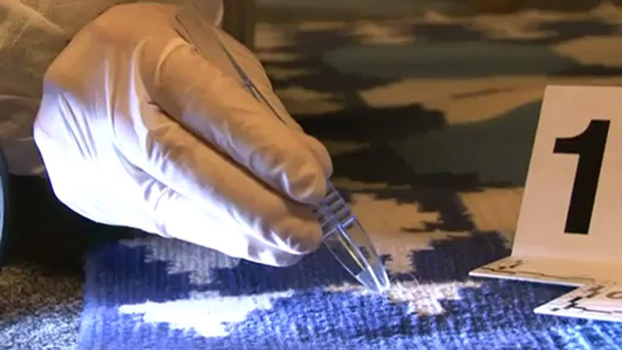 Police scientifique : les experts en vérité