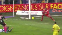 Toulouse FC (TFC) - Olympique de Marseille (OM) Le résumé du match (18ème journée) - saison 2012/2013