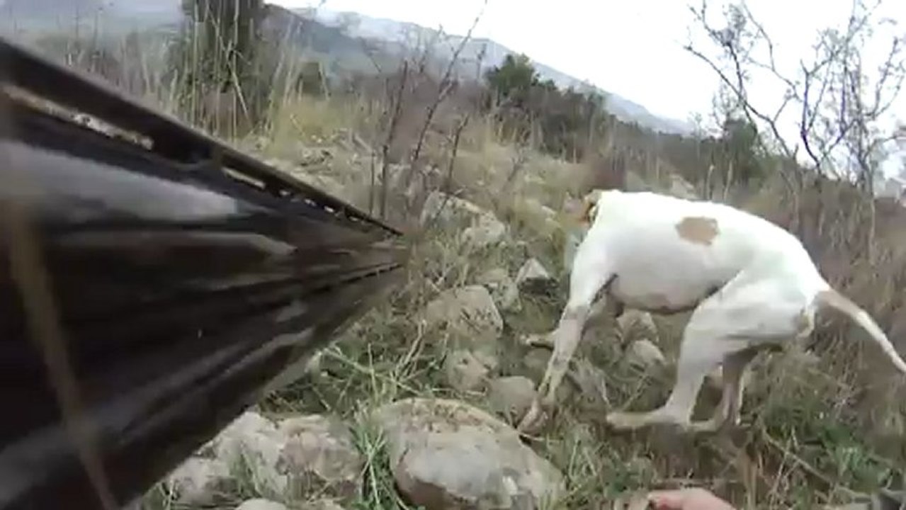 Viktor Çulluk Ferma