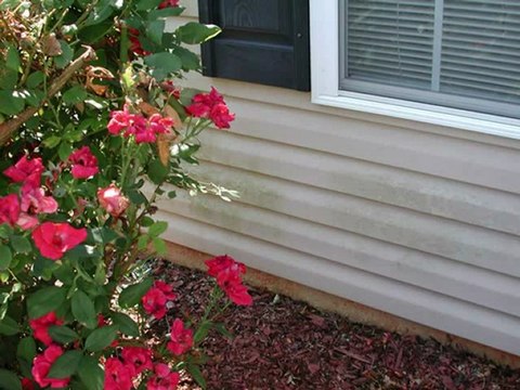 Pressure Washing Charlotte, 704-806-3002