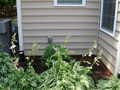 Pressure Washing Charlotte, 704-806-3002