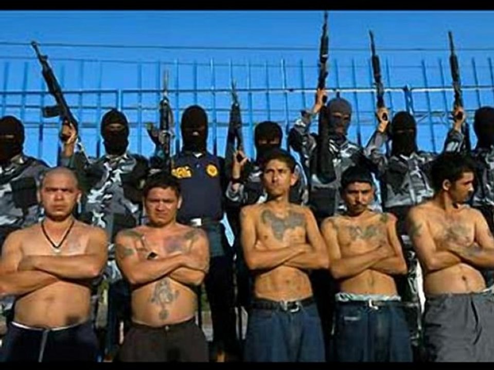 Blkpryde:The Kat Willams incident with mexicans.