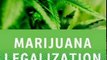 Politics Book Review: Marijuana Legalization: What Everyone Needs to Know by Jonathan P. Caulkins, Angela Hawken, Beau Kilmer, Mark A.R. Kleiman
