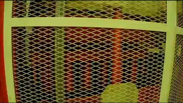 birmaksan makina san bms 1236