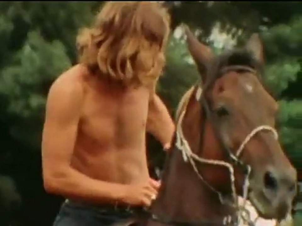 Crosby Stills & Nash (And Young)  ''Woodstock''