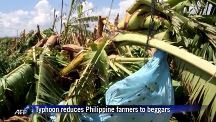 Typhoon reduces Philippine farmers to beggars