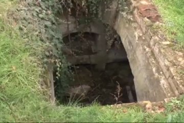 Kafatasını yola attılar