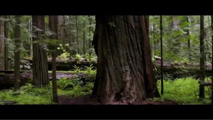 After Earth - Tráiler Español [360p]