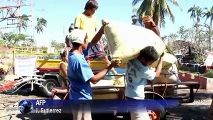 Philippines: des plantations entières détruites par le typhon