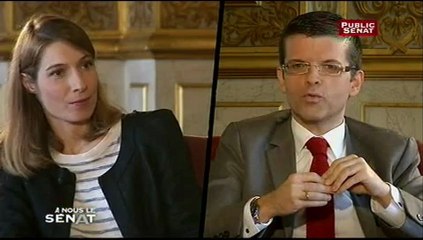 A NOUS LE SENAT,Luc Carvounas