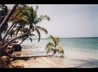 Vacances dans les Caraïbes