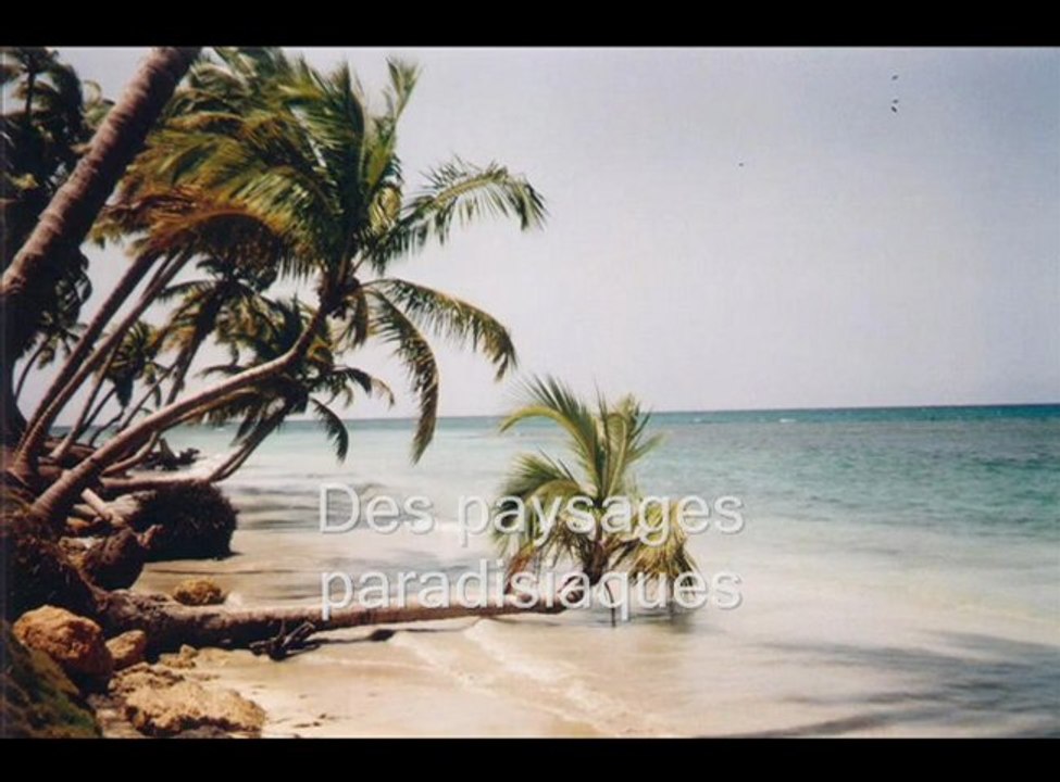 Vacances dans les Caraïbes