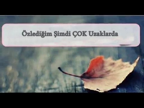NİLÜFER ÖZLEDİĞİM ŞİMDİ ÇOK UZAKLARDA..__TÜKENMEYEN UMUDUM....