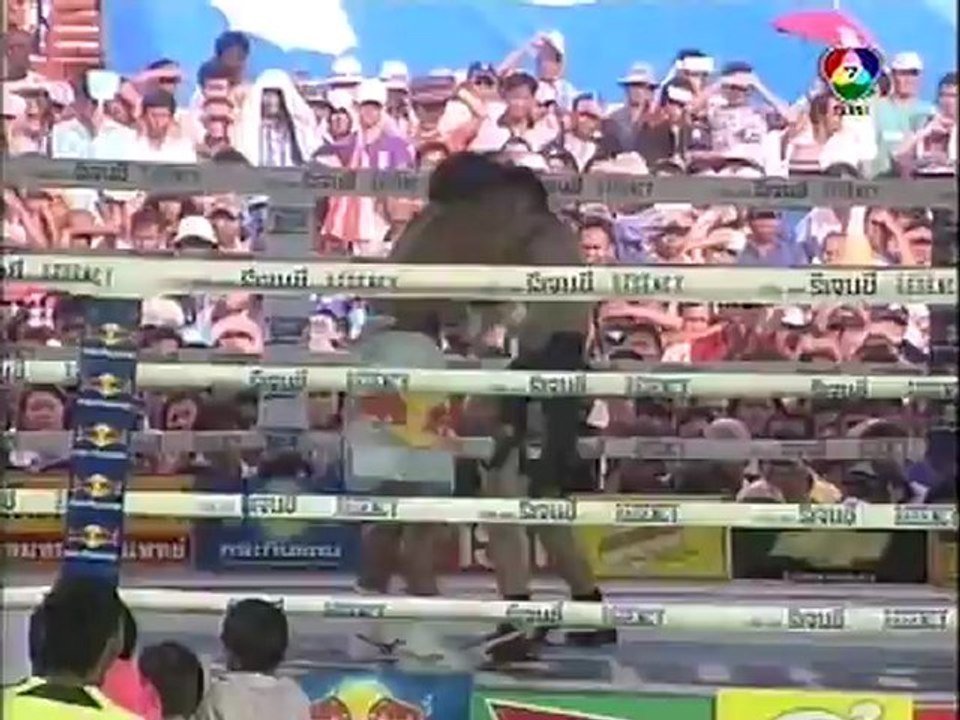 2010-05-20 Poonsawat Kratingdaenggym vs Shoji Kimura