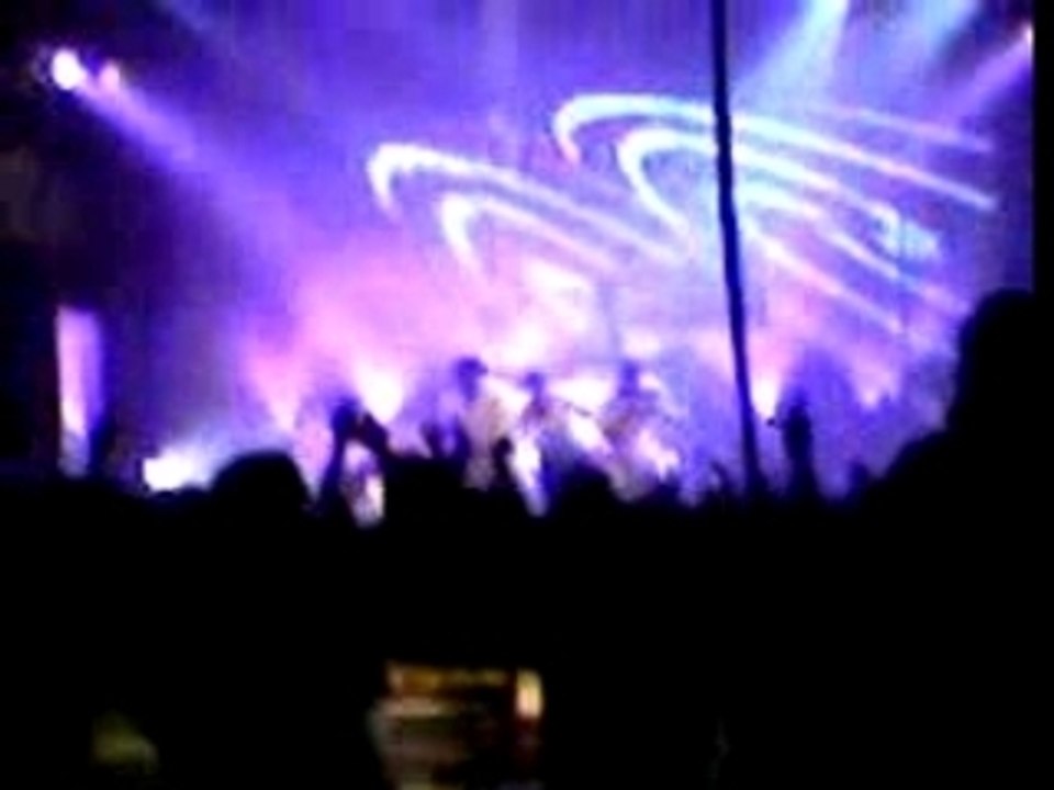 diams jeune demoiselle