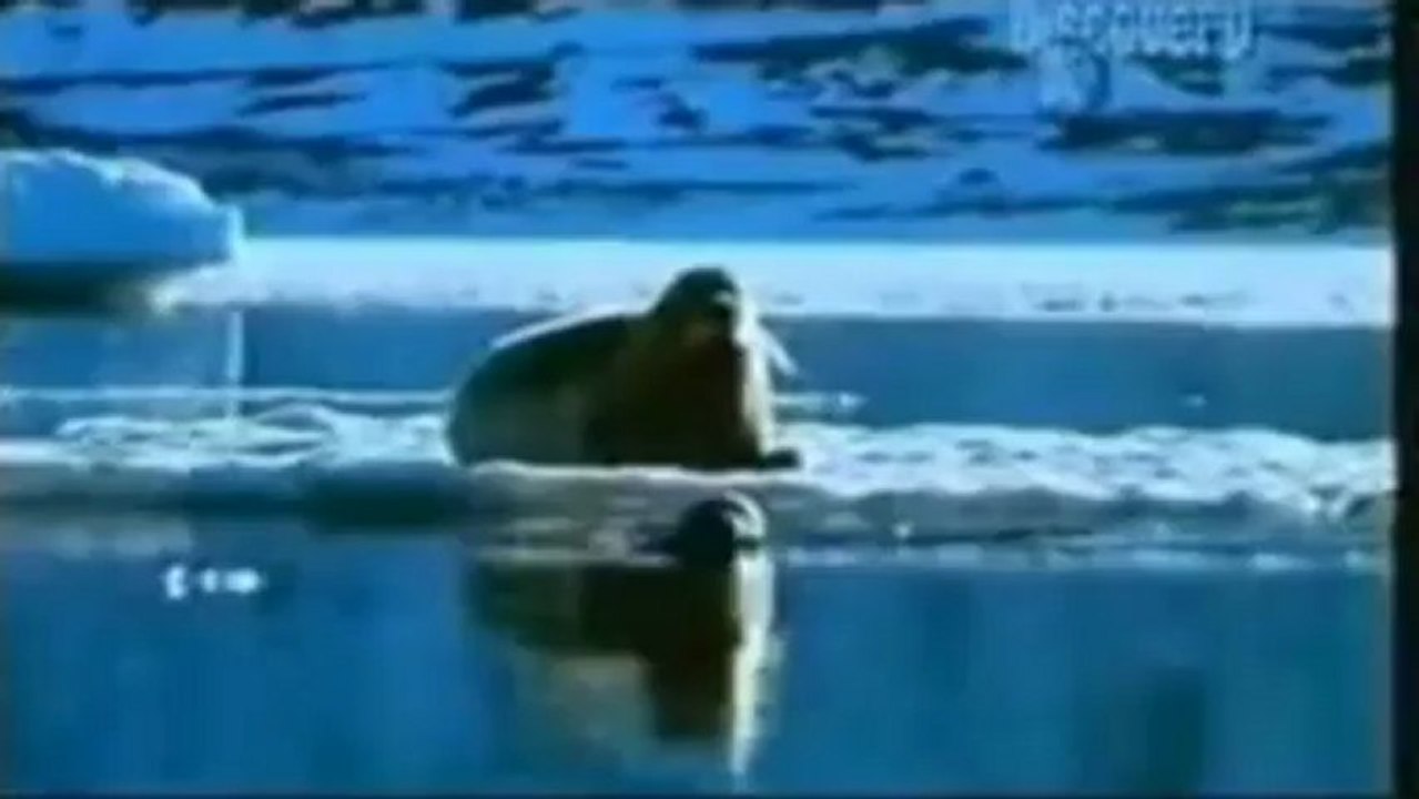 Una Nueva Edad de Hielo se Aproxima(asturweb)