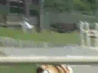 Tyson The Skateboarding Bulldog 03