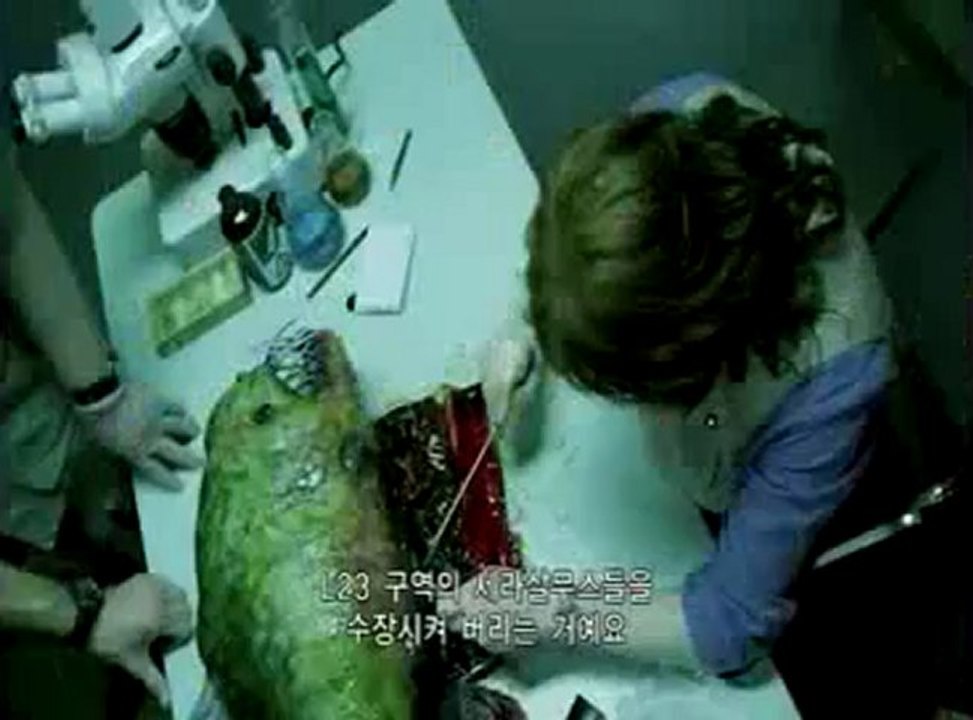 메가 피라냐1 공짜방.2011