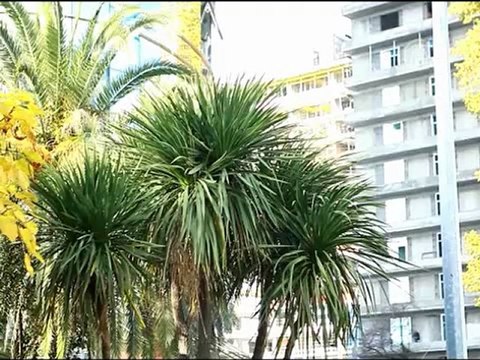 Сочинцы высказываются об Олимпиаде-2014